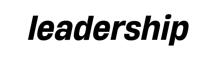 HeadingNow Trial 65 Medium Italic  Free Fonts Download