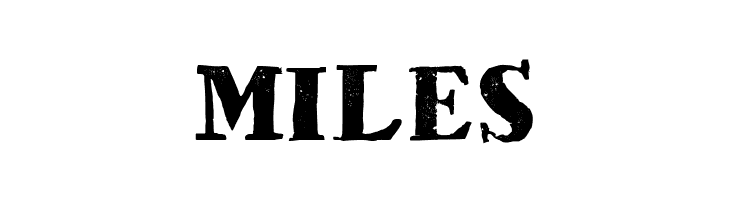 HVD Bodedo  Free Fonts Download