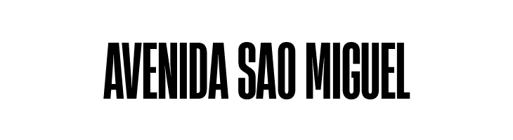 Heading Now Trial 26 Bold  Free Fonts Download