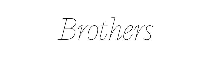 Calvino Grande Trial Monoline Italic  Free Fonts Download