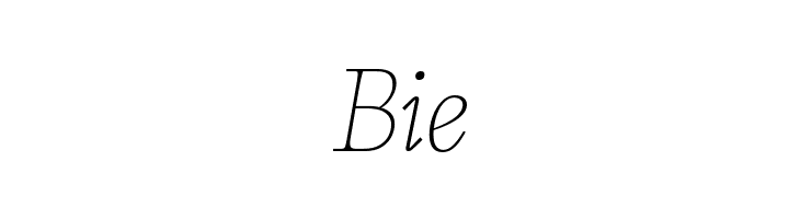 CalvinoTrial Thin Italic  Free Fonts Download