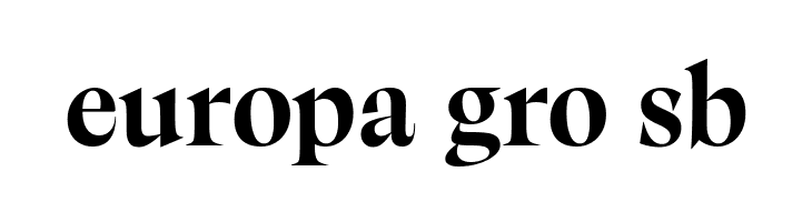 Calvino Grande Trial Bold  Free Fonts Download