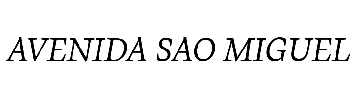 CalvinoTrial Book Italic  Free Fonts Download