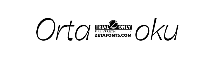 Boring Sans B Trial Light Italic  Free Fonts Download