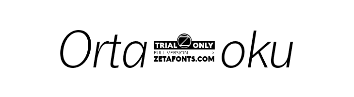 Boring Sans A Trial Light Italic  Free Fonts Download
