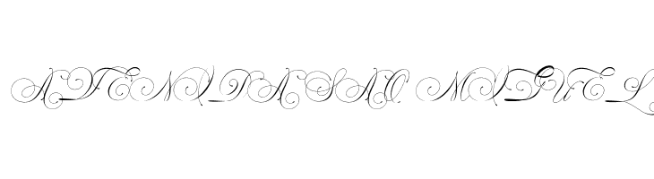 WilliamDukeDemo  Free Fonts Download