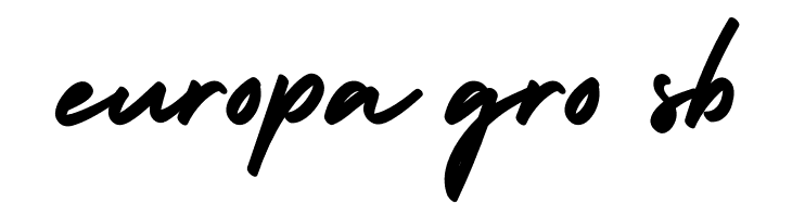 HolidayFree  Free Fonts Download