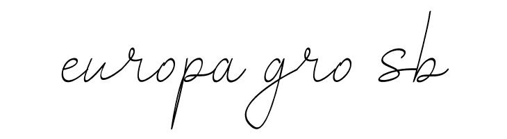 SalhenaFreeRegular  Free Fonts Download