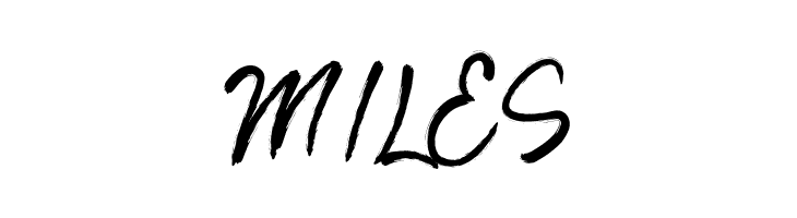 BrotherFree  Free Fonts Download