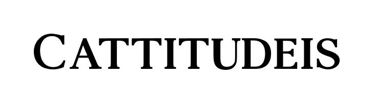 AgathoBoldCAPS  Free Fonts Download