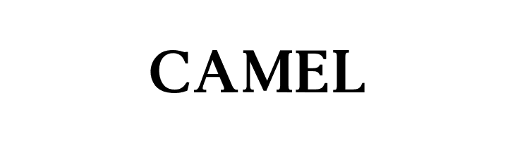 AgathoBoldCAPS  Free Fonts Download