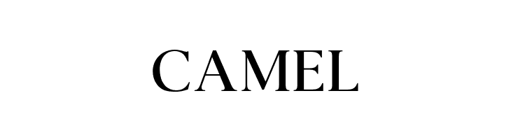 AgathoRegularCAPS  Free Fonts Download