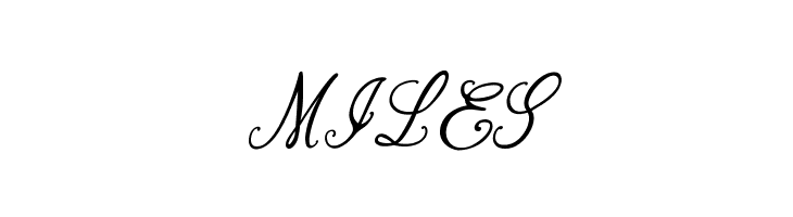 Bernadine Script Italic  Free Fonts Download