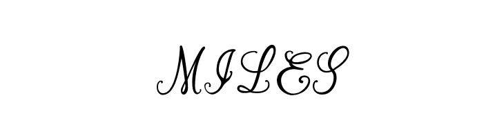 Bernadine Script  Free Fonts Download