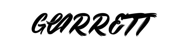 Black Swan_PersonalUseOnly  Free Fonts Download