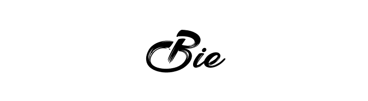Shania & HeinzPersonalUseOnly  Free Fonts Download
