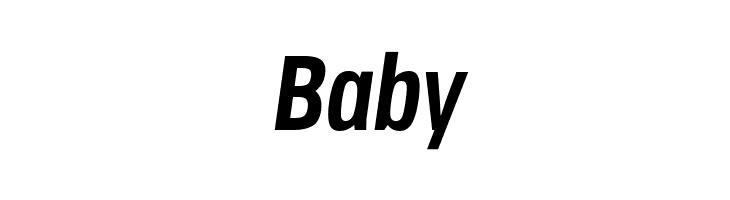 Jane Roe Bold Italic  Free Fonts Download