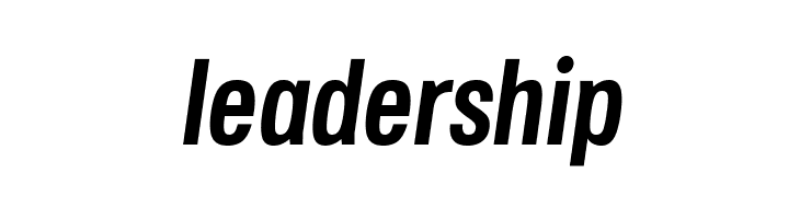 Jane Roe Bold Italic  Free Fonts Download