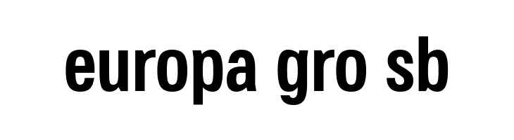 Jane Roe Bold  Free Fonts Download