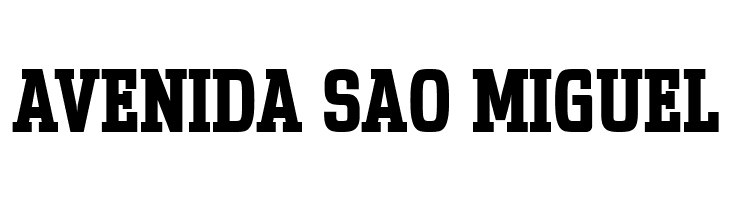 Uchrony Roman Bold  Free Fonts Download