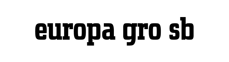 Uchrony Roman Bold  Free Fonts Download