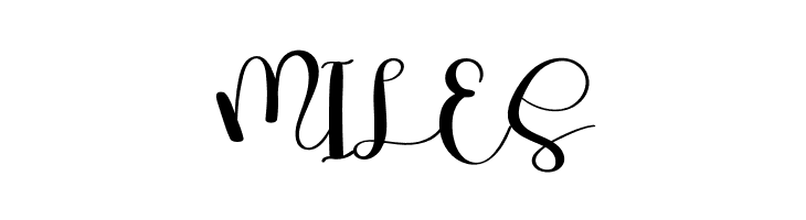 Camello  Free Fonts Download