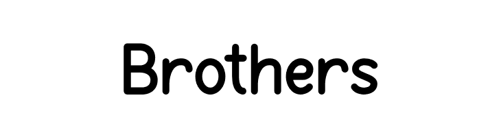 Burd Sans ExtraBold  Free Fonts Download