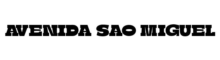 BoldieSlab-SemiCondensed  Free Fonts Download