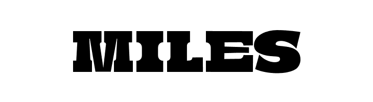 BoldieSlab-SemiCondensed  Free Fonts Download