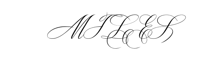 EnicaPersonalUseOnly-Regular  Free Fonts Download