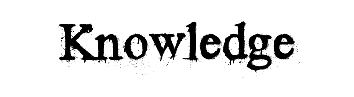 Times New Yorker  Free Fonts Download