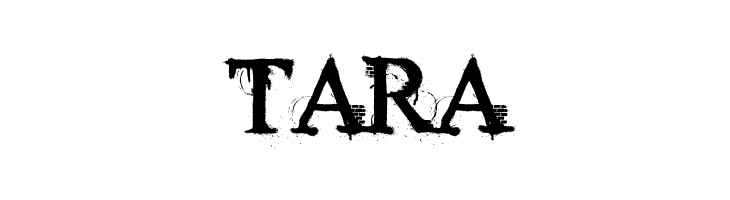 Times New Yorker  Free Fonts Download