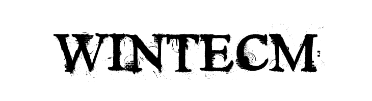 Times New Yorker  Free Fonts Download