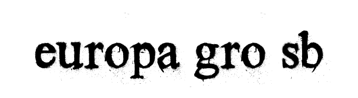 Times New Yorker  Free Fonts Download