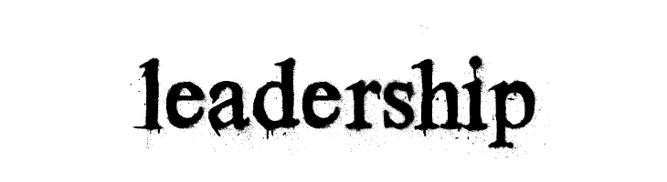 Times New Yorker  Free Fonts Download