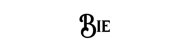 BvasEstadasPersonalUseOnly-Regu  Free Fonts Download