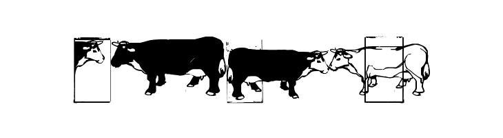 IKHIOOGLAcow  Free Fonts Download