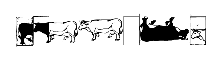 IKHIOOGLAcow  Free Fonts Download