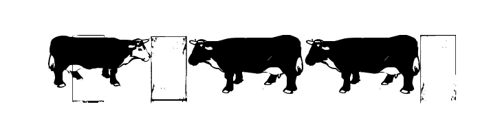 IKHIOOGLAcow  Free Fonts Download