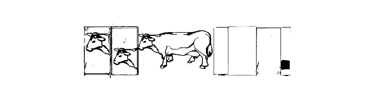 IKHIOOGLAcow  Free Fonts Download