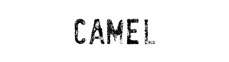 SociaLAnimaL  Free Fonts Download