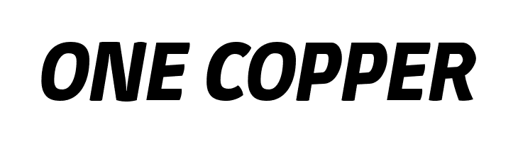 Absolut Reduced Bold Italic  Free Fonts Download