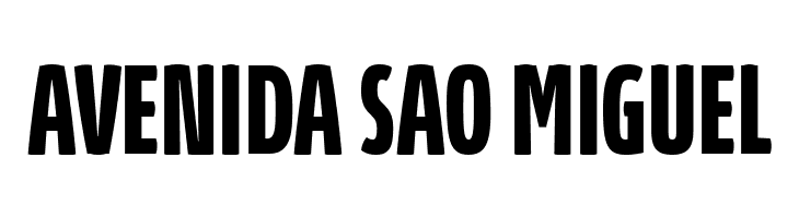 Absolut UltraCondensed Reduced Bold  Free Fonts Download