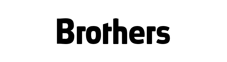 Absolut Reduced Bold  Free Fonts Download