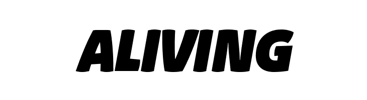 Absolut Reduced Black Italic  Free Fonts Download