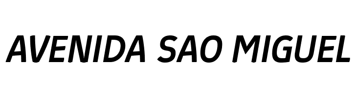 Absolut Reduced Medium Italic  Free Fonts Download