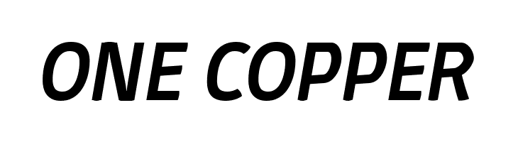 Absolut Reduced Medium Italic  Free Fonts Download