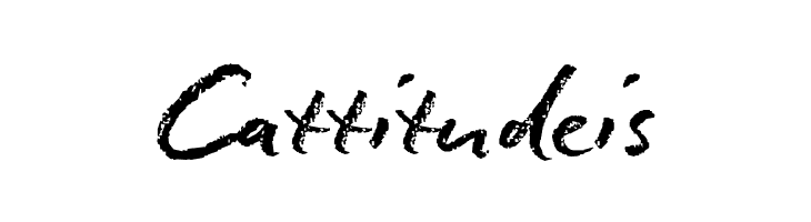 Conté Script reduced  Free Fonts Download