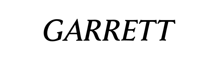 FaberSerifReduced-66KraftigKursiv  Free Fonts Download