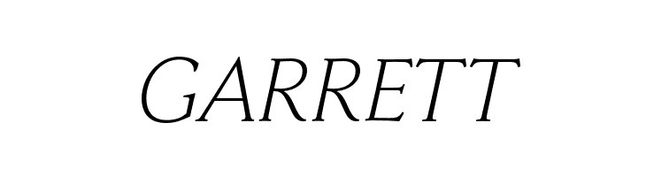 FaberSerifReduced-46LeichtKursiv  Free Fonts Download